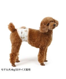 PET PARADISE ペットパラダイス 王冠くまちゃん マナーベルト  小型犬