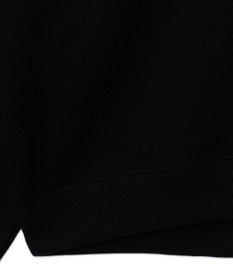 WEGO メタリックロゴプルオーバー