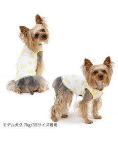 PET PARADISE ペットパラダイス はじめてタンクトップ 《ミモザ柄》 小型犬