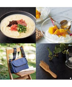 antina gift studio 沙羅(さら) e-order choice(カードカタログ) ＜白百合(しらゆり)＞