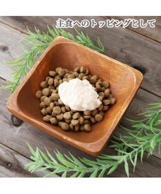 PET PARADISE リアルフードスティック フローラケア 10g×8本 国産