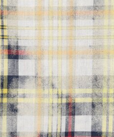 J.PRESS MEN 【J.PRESS ORIGINALS】India Madras Discharge Print Shirt