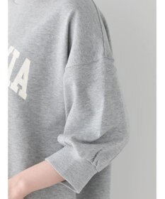 AMERICAN HOLIC ミニ裏毛ロゴスウェット2