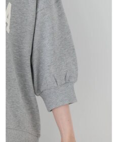 AMERICAN HOLIC ミニ裏毛ロゴスウェット2