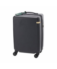 ACE BAGS & LUGGAGE HAyU × ace.  パキラ スーツケース 34L 機内持込 05781 エース