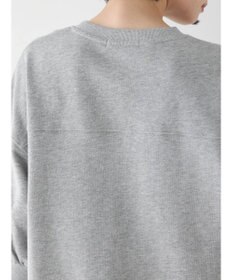 AMERICAN HOLIC ミニ裏毛ロゴスウェット2