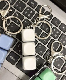 WEGO パステルキーキーホルダー