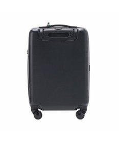 ACE BAGS & LUGGAGE HAyU × ace.  パキラ スーツケース 34L 機内持込 05781 エース