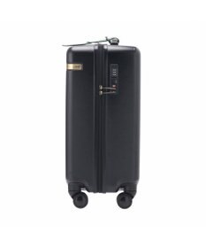 ACE BAGS & LUGGAGE HAyU × ace.  パキラ スーツケース 34L 機内持込 05781 エース