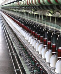 TOQUE 〈大草直子さんアドバイザー〉 タンギスコットン天竺半袖Ｔシャツ