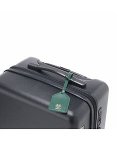 ACE BAGS & LUGGAGE HAyU × ace.  パキラ スーツケース 34L 機内持込 05781 エース