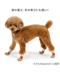 PET PARADISE ペットパラダイス ボーダー フィット靴 ３Ｓ