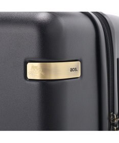ACE BAGS & LUGGAGE HAyU × ace.  パキラ スーツケース 34L 機内持込 05781 エース