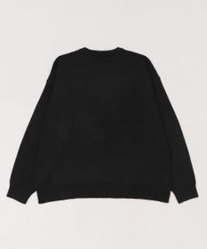 WEGO 【ユニセックス着用ITEM/SMLサイズ展開】アクセ付きワンポイントニットプルオーバー