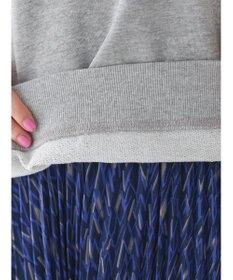 AMERICAN HOLIC ミニ裏毛ロゴスウェット2