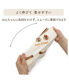 PET PARADISE ディズニー チップとデール サーモキープ お顔Tシャツ 小型犬