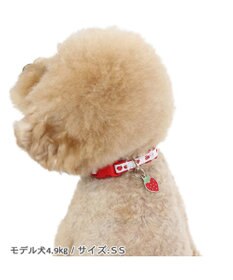 PET PARADISE ペットパラダイス 苺チャーム付き首輪 Ｓ