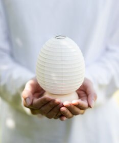 ちょうちん堂 【あかり道】〈手書絵付〉サクラスミレ ちょうちん ライト