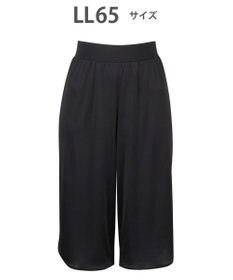 WACOAL キュロットペチコート 65cm丈 静電気が起こりにくい(身生地) HDB522 /ワコール