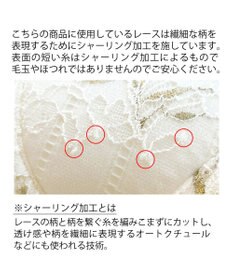 BRADELIS New York 【BRADELIS New York】ローズステップ２ブラ23S1 育乳補整 ふんわり寄せて脇まですっきりする補整ブラ