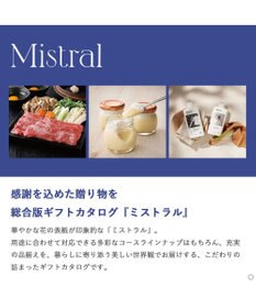 antina gift studio Mistral(ミストラル) ギフトカタログ＜ヨーク＞
