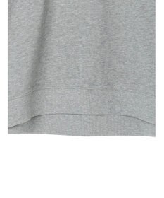 AMERICAN HOLIC ミニ裏毛ロゴスウェット2