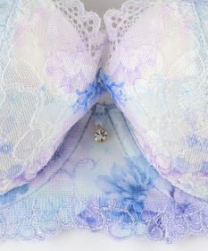 Wing ブラジャー Wing Lesiage サイドすっきり しっかりフィット 【2900シリーズ】 ブラ PB2900 ウイング／ワコール