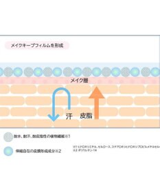 Chacott Cosmetics チャコット フィニッシングキープミスト