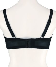 San-ai Resort（三愛水着楽園） エレガントコレクション【2409】単品ブラEFGカップ 【northerly】