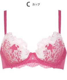 Wing 3/4カップブラ　【2650シリーズ】　ウイング／ワコール　PB2650