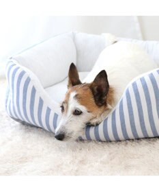 PET PARADISE ペットパラダイス　ストライプカドラー《 ブルー》 小型犬