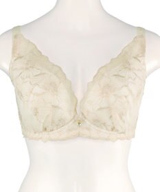 San-ai Resort（三愛水着楽園） エレガントコレクション【2409】単品ブラEFGカップ 【northerly】