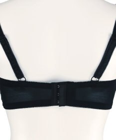 San-ai Resort（三愛水着楽園） エレガントコレクション【2409】単品ブラEFGカップ 【northerly】