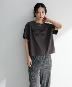 Green Parks 汗染み防止カレッジロゴボックスＴシャツ
