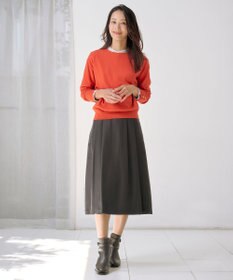 J.PRESS LADIES S サイロチェック ストライプ ブラウス