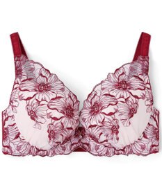 San-ai Resort（三愛水着楽園） エレガントコレクション【2409】単品ブラEFGカップ 【northerly】