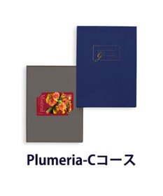 antina gift studio Mistral(ミストラル) e-order choice(カードカタログ) ＜Plumeria(プルメリア)＞