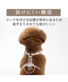 PET PARADISE ペットパラダイス くまちゃん アクティブハーネス ＳＳ 小型犬