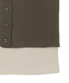 Green Parks ・Ｐｅｔｉｔ　Ｆｌｅｕｒ　バイカラーレイヤードニット