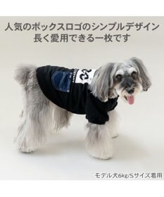 PET PARADISE Lee ボックスロゴ トレーナー ブラック 小型犬