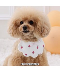 PET PARADISE ペットパラダイス  苺くるくるスタイ  小型犬