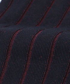 J.PRESS MEN 【定番】ハイゲージワイドストライプ リブソックス