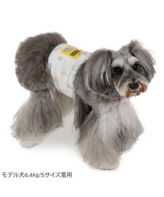 PET PARADISE ディズニー ダンボ マナーベルト 小型犬