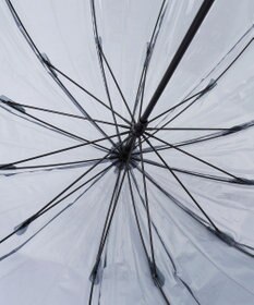 ANY SIS 【WEB限定】クリア アンブレラ