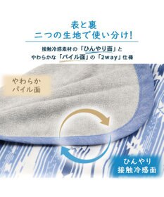 PET PARADISE ペットパラダイス クールブランケット 単品 (90×60cm)  《 苺柄 / ネイティブ柄 》