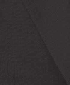 GOTAIRIKU 【DORMEUIL】トロピカルアマデウス スーツ（ブラック）