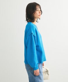 Green Parks 袖かのこニットプルオーバー