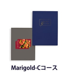 antina gift studio Mistral(ミストラル) e-order choice(カードカタログ) ＜Marigold(マリーゴールド)＞