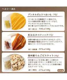 PET PARADISE ペットパラダイス 犬 おやつ デリスタイル4種類 ヘルシー系セットB