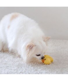 PET PARADISE ペットパラダイス あひる ラテックス トイ